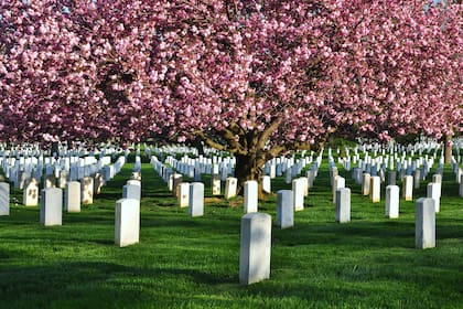 48 horas en Washington DC: cementerio de Arlington, en Virginia