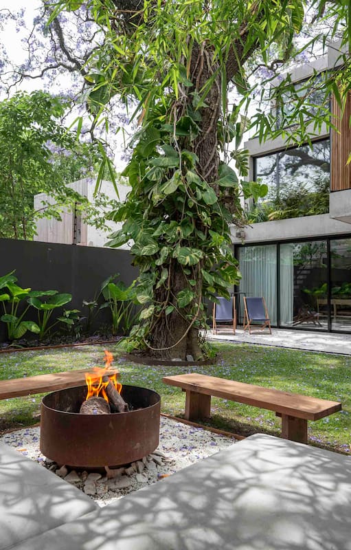 A metros de la costa de San Isidro, dos arquitectos hicieron su casa-estudio en torno a los árboles del terreno