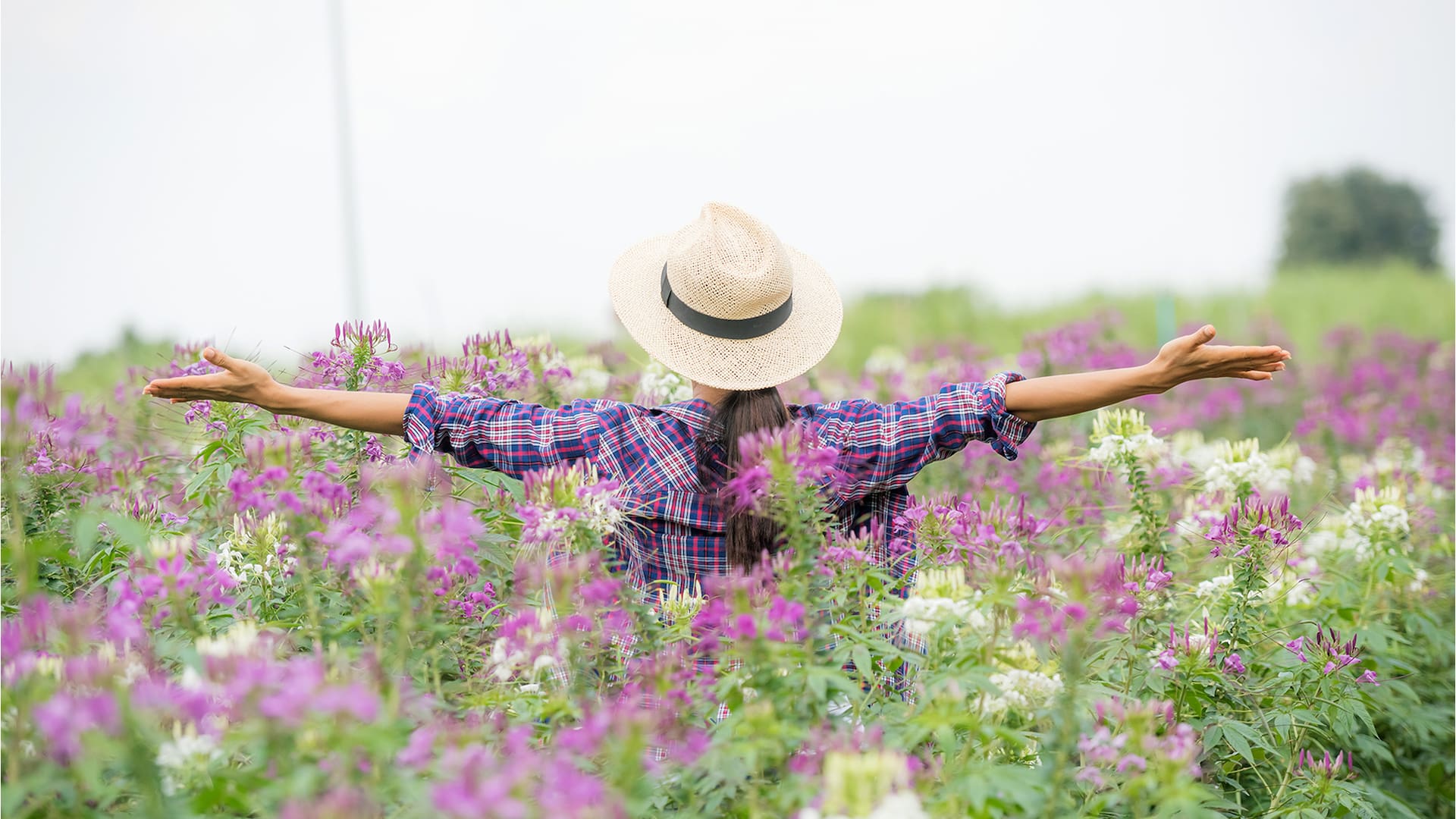 5 perfumes que huelen al campo en primavera