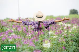 5 perfumes que huelen al campo en primavera