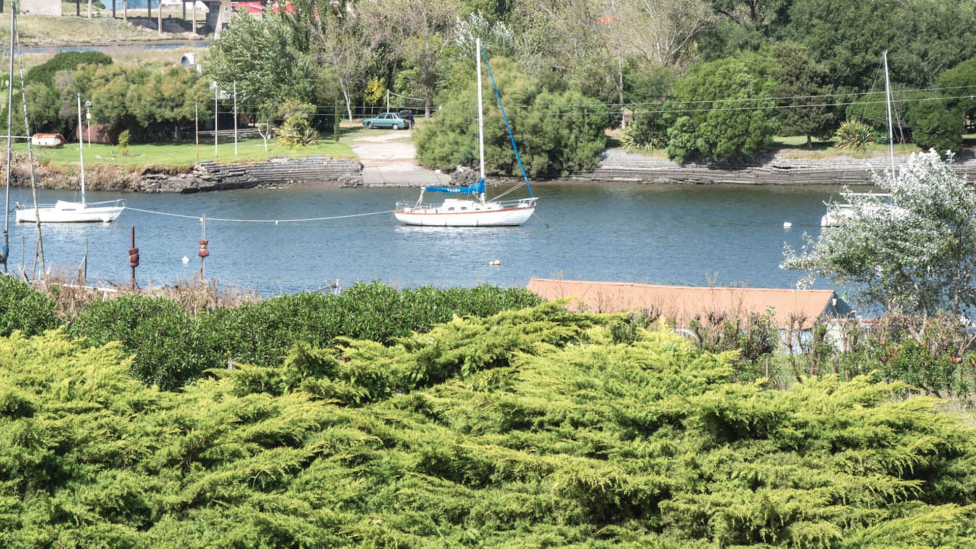 Quequén: un jardín a prueba del viento