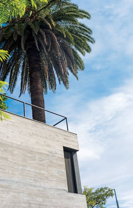 Una casa de diseño moderno abraza las centenarias palmeras del lote para convivir con ellas