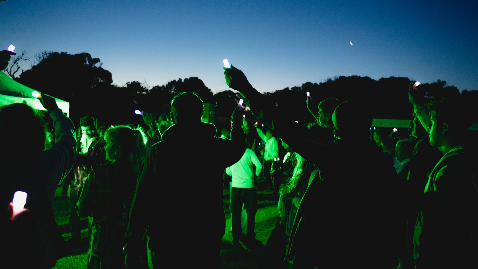 Caminata nocturna, música y bosque. Una experiencia para vivir el verano a otro ritmo en Cariló