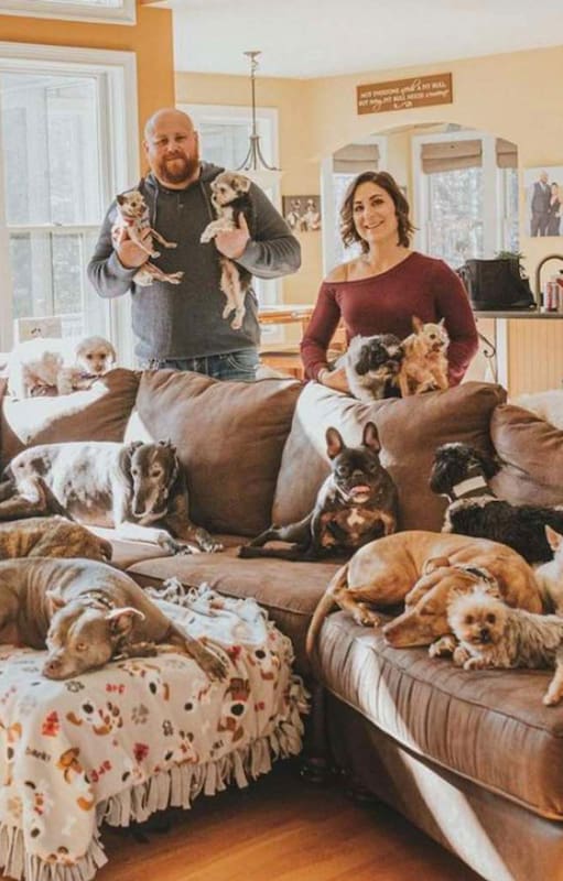 Épico. En la nieve, armaron una increíble sorpresa para sus 21 perros rescatados