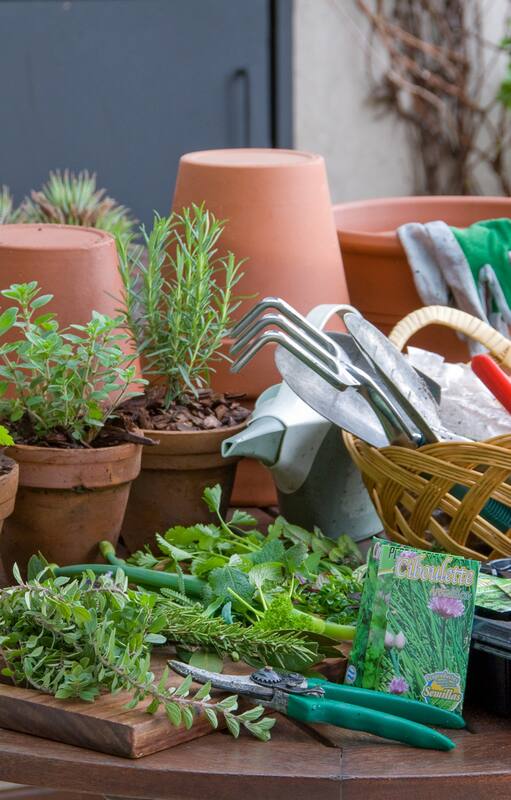 Por qué cultivar un jardín con hierbas aromáticas