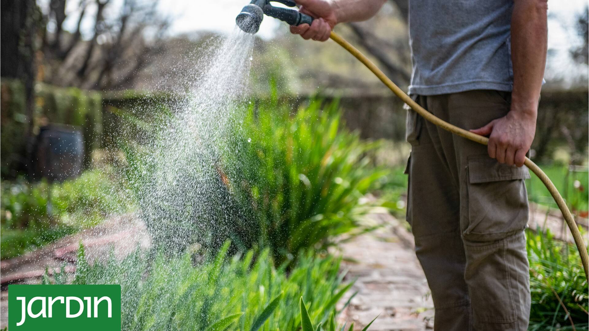 3 reglas de oro para que tus plantas no mueran cuando comienza el calor
