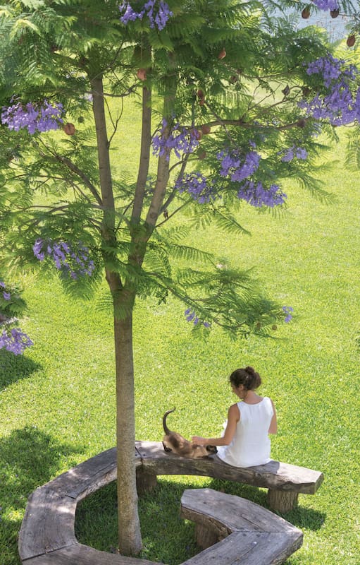 Siete ideas para crear espacios funcionales y de descanso en tu jardín