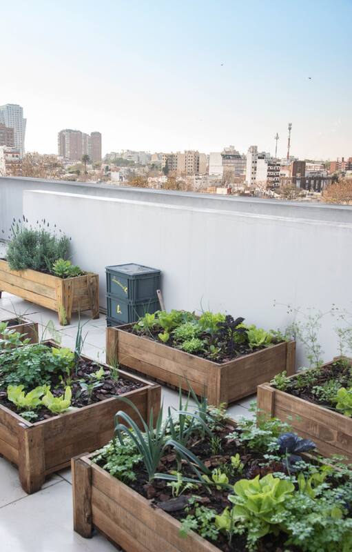Cómo tener los vegetales a mano sin ir a la verdulería