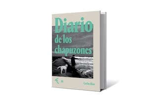 Diario de los chapuzones, de Carlos Ríos