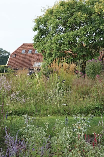 Así diseña jardines Piet Oudolf, el rock star de los paisajistas