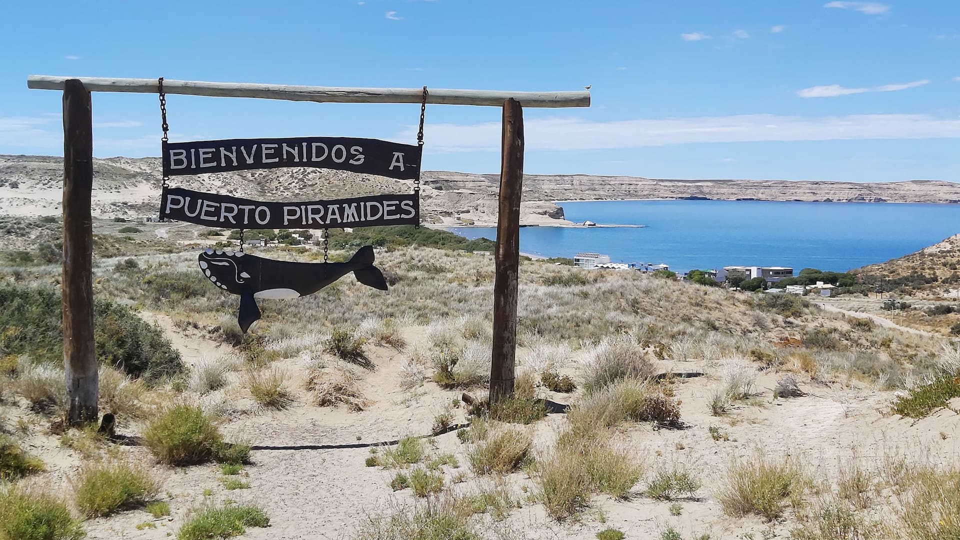 El comedor de mar que visitaban Borges y Sabato y se volvió de culto por su plato estrella