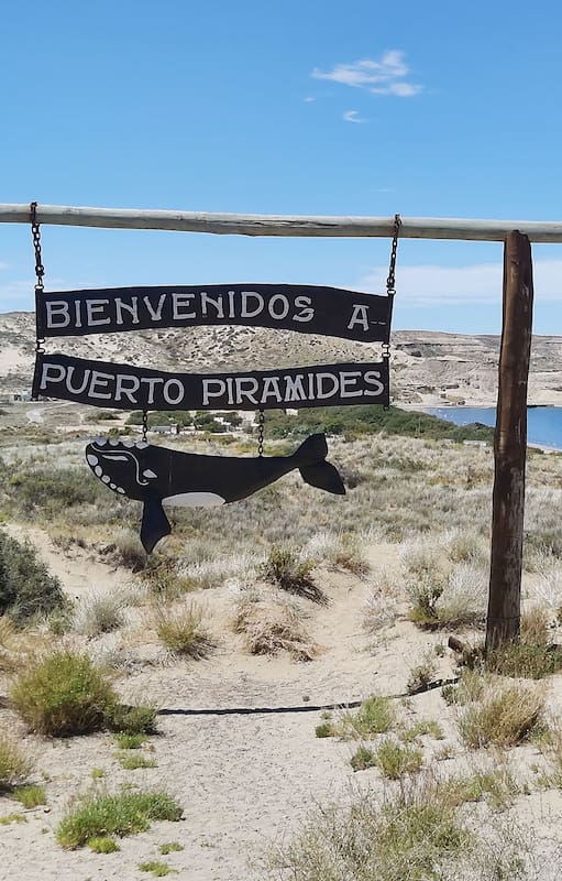 El comedor de mar que visitaban Borges y Sabato y se volvió de culto por su plato estrella