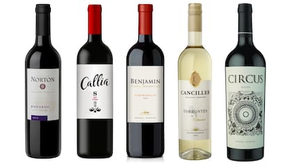 5 de los 10 vinos recomendados por menos de 100 pesos