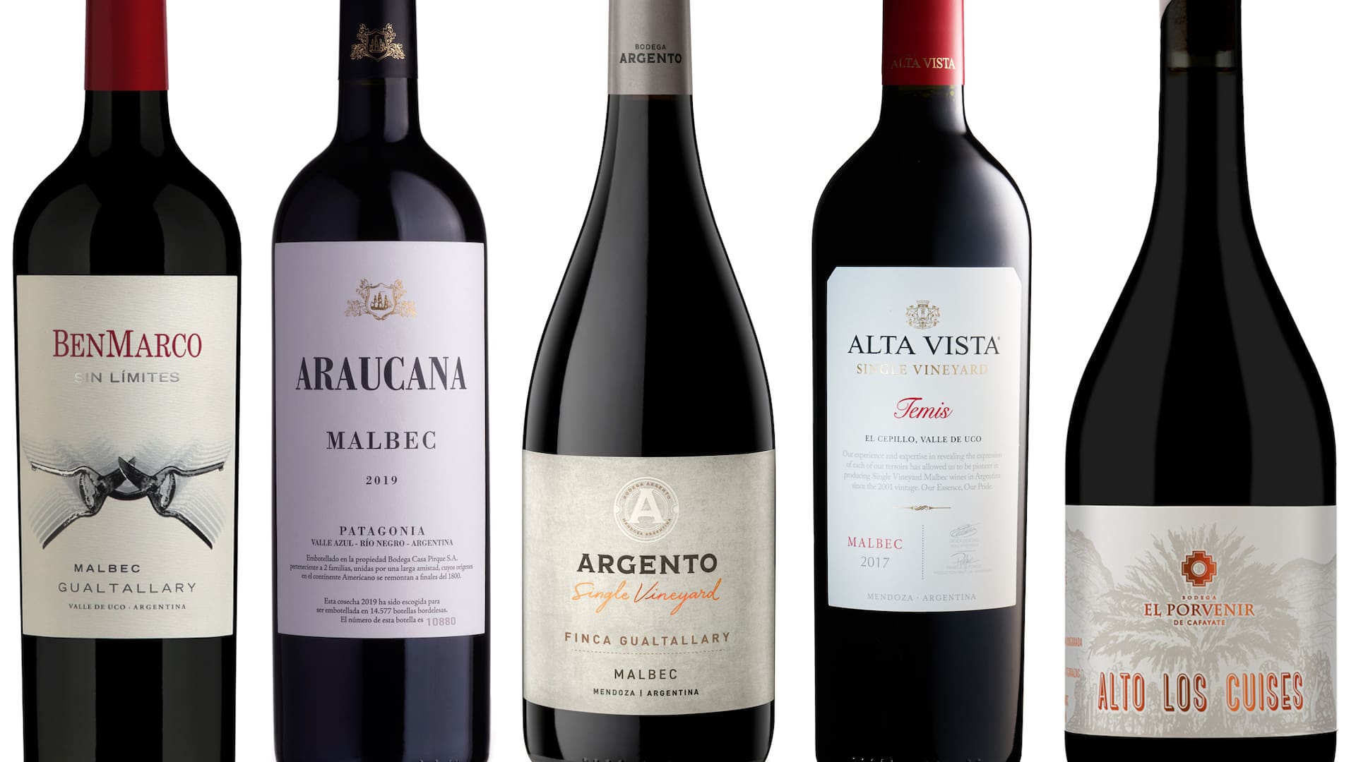 5 de los 20 grandes Malbec argentinos