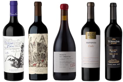 5 malbecs mendocinos, algunos clásicos, otros más modernos