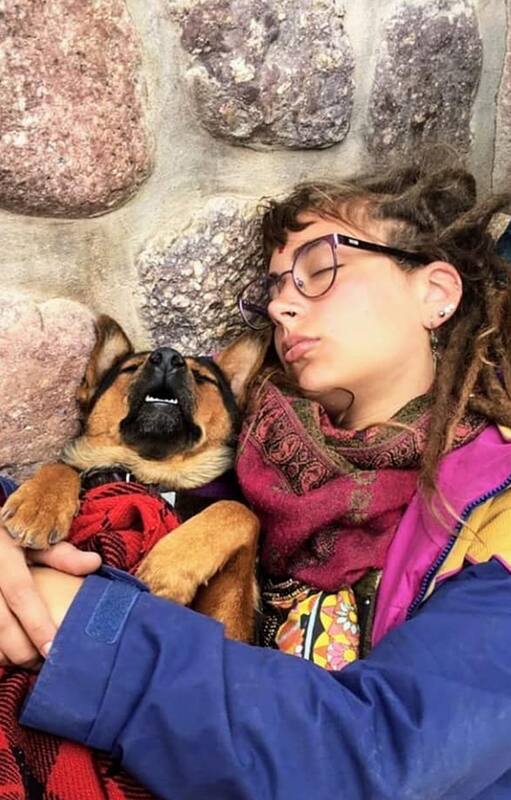 Perra varada. La bajaron de un micro para que su humana fuera repatriada