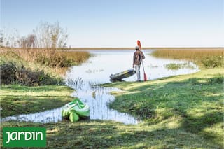 Crearon una reserva natural privada sorprendente en una isla abandonada del Delta