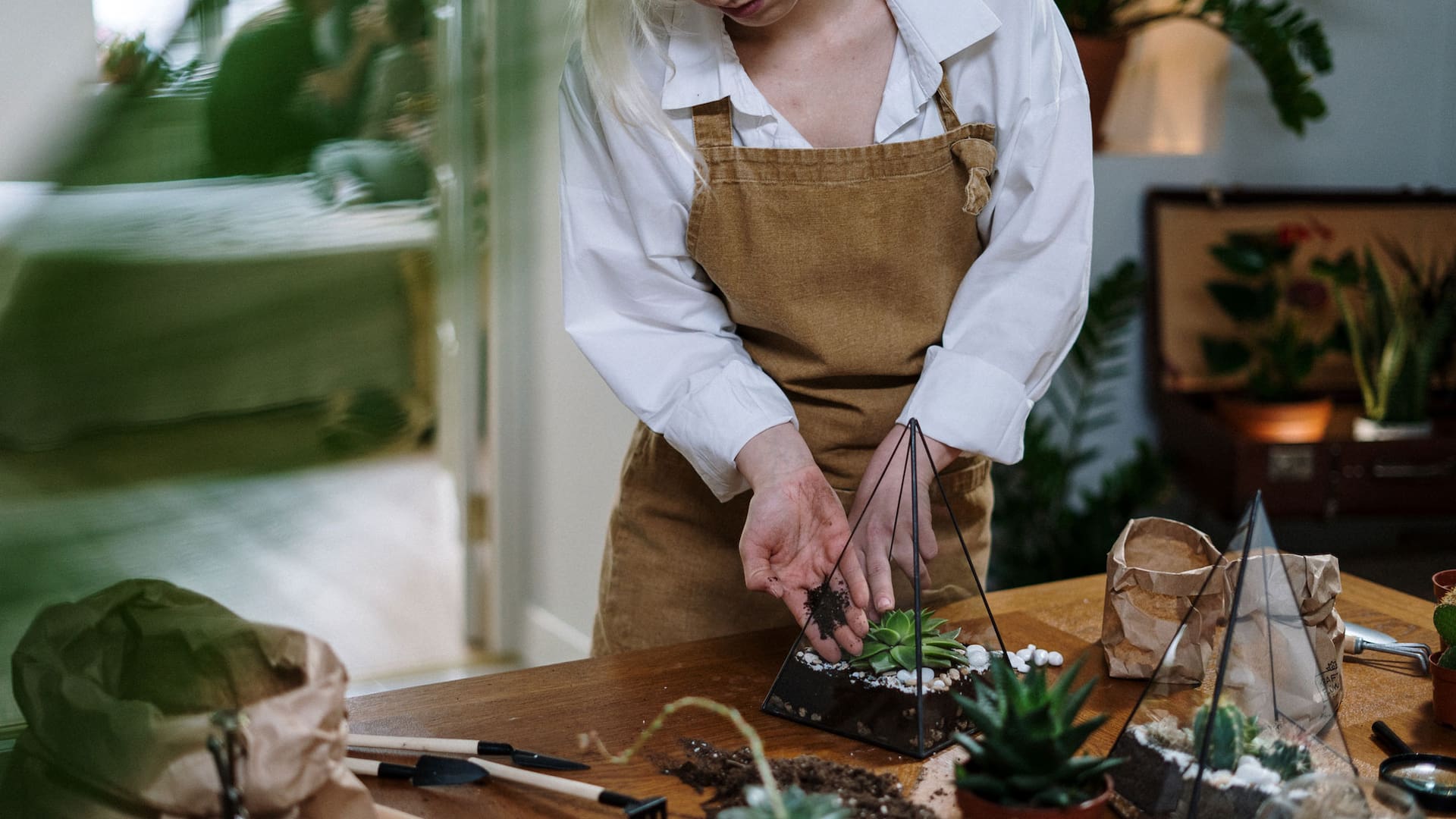 Terrarios: son tendencia en la decoración de interiores y entre los amantes de las plantas.