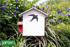 El nuevo fenómeno que conquistó a la jardinería y está cambiando nuestra manera de pensar