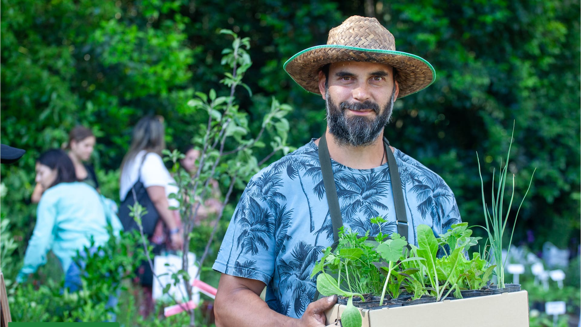 Descubrí las joyas de la feria: ¿Qué plantas se llevó la gente?