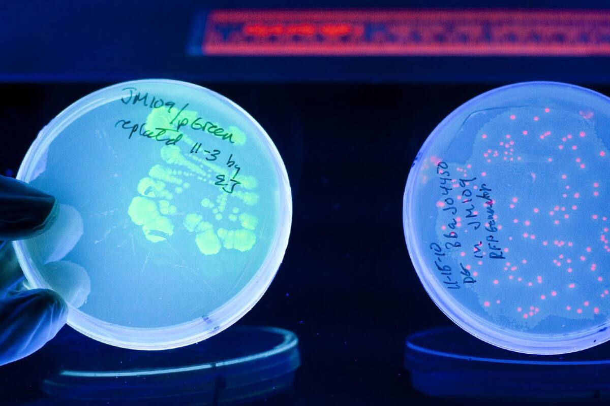 ¿Estamos en riesgo? La ética, desafiada por una ciencia que no para