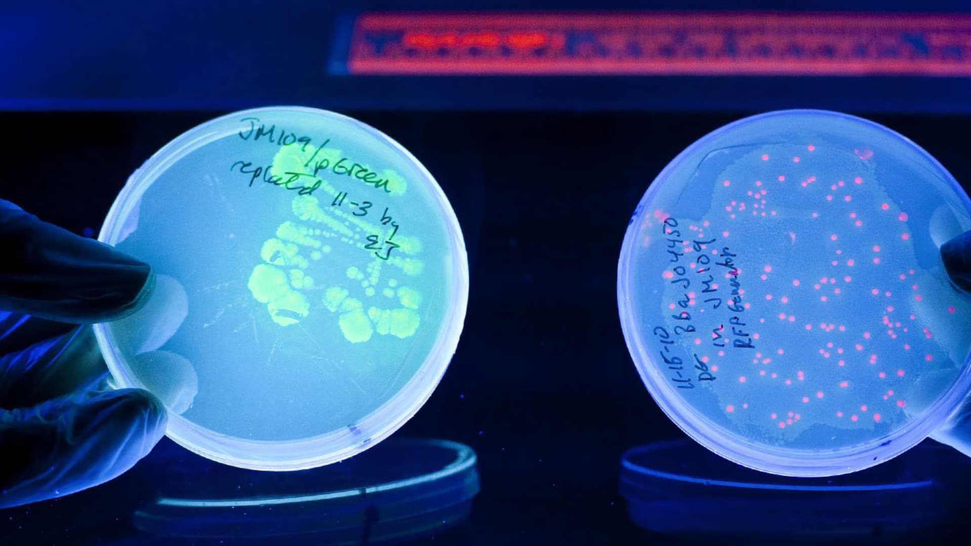 ¿Estamos en riesgo? La ética, desafiada por una ciencia que no para