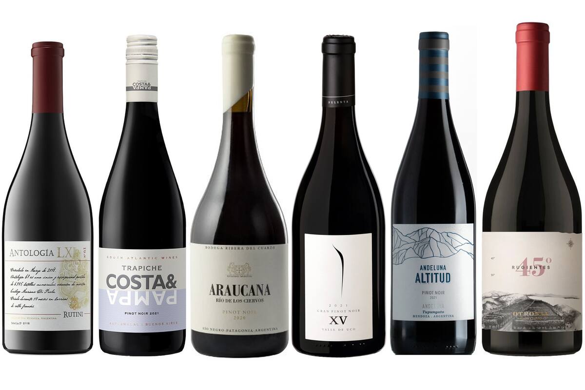 6 grandes Pinot Noir, algunos clásicos, otros recién llegados