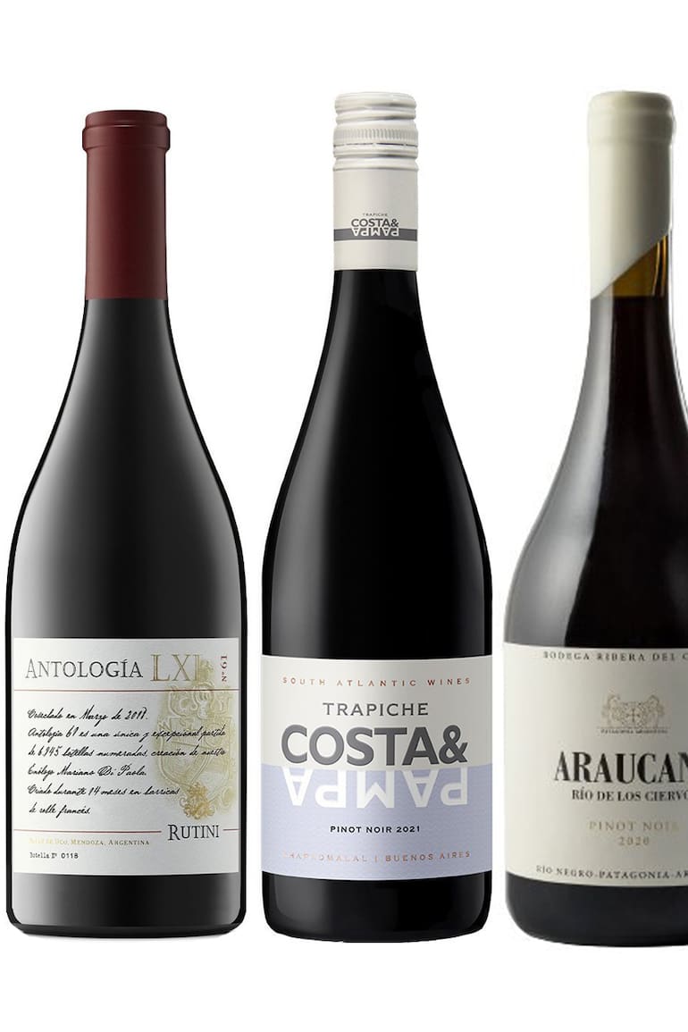 6 grandes Pinot Noir, algunos clásicos, otros recién llegados