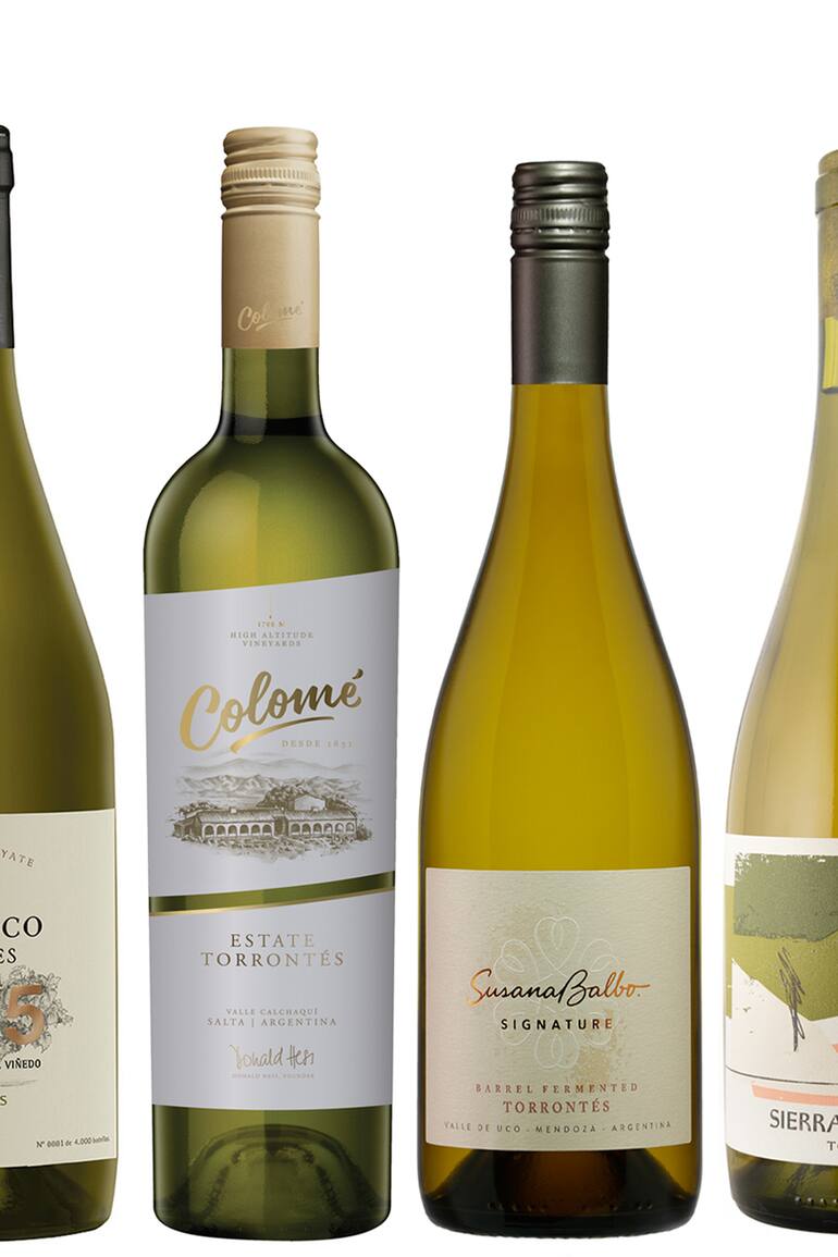 6 grandes y modernos torronteses