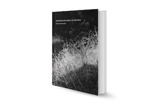 Pastizales para la espera, de Gustavo Fontán