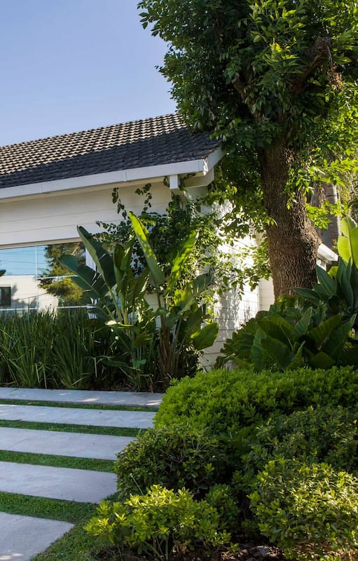 Jardines que crecen: cómo diseñar espacios verdes que maduran y mejoran año tras año