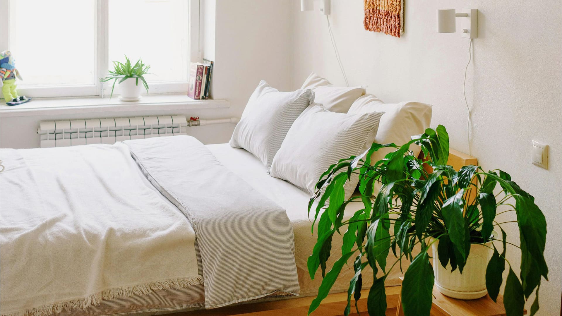 Por qué la ciencia ahora dice que tener plantas en el dormitorio es bueno para la salud