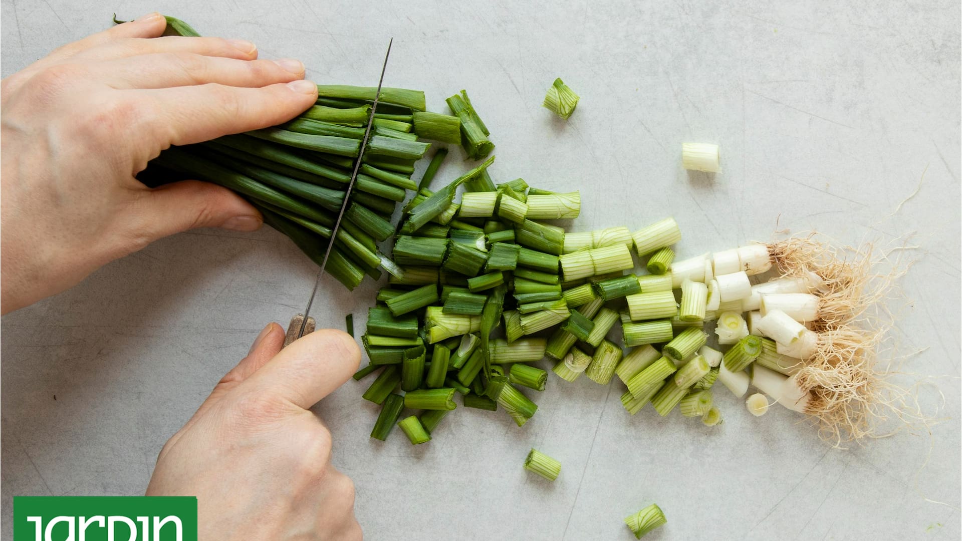 La verdura comodín que podés cultivar en maceta, crece muy rápido y vas a usar en la cocina