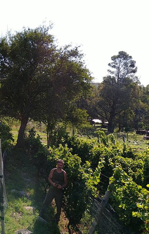 Córdoba, la meca de los alfajores, el fernet y ahora también del vino