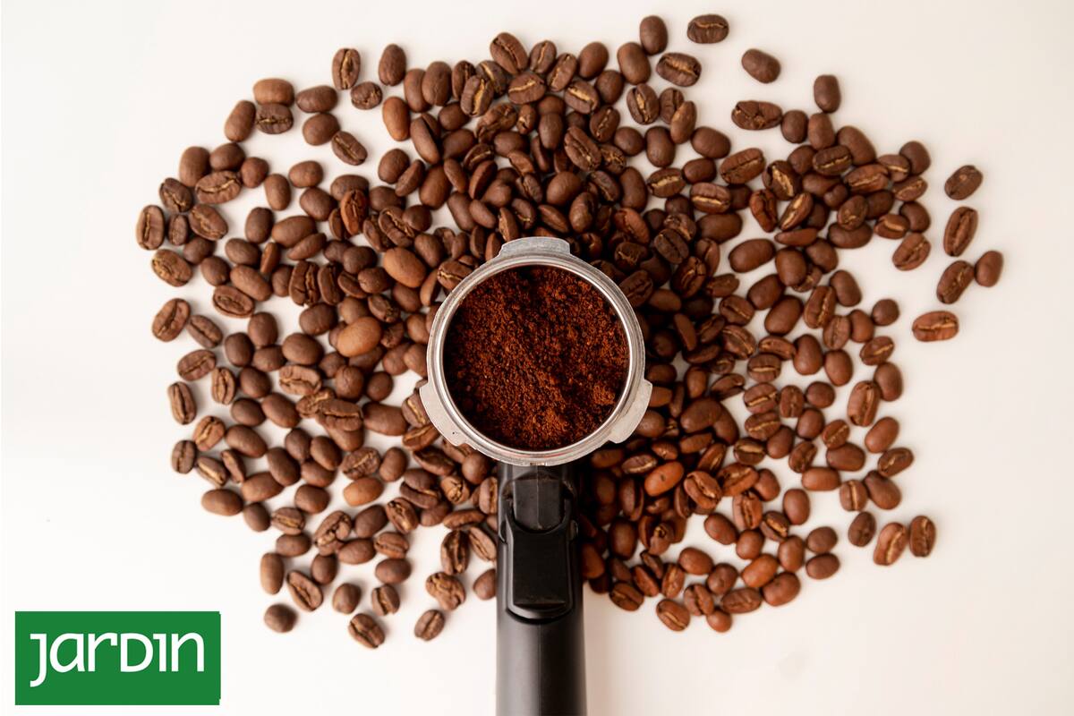 Pros y contras del truco casero para fertilizar las plantas con borra de café