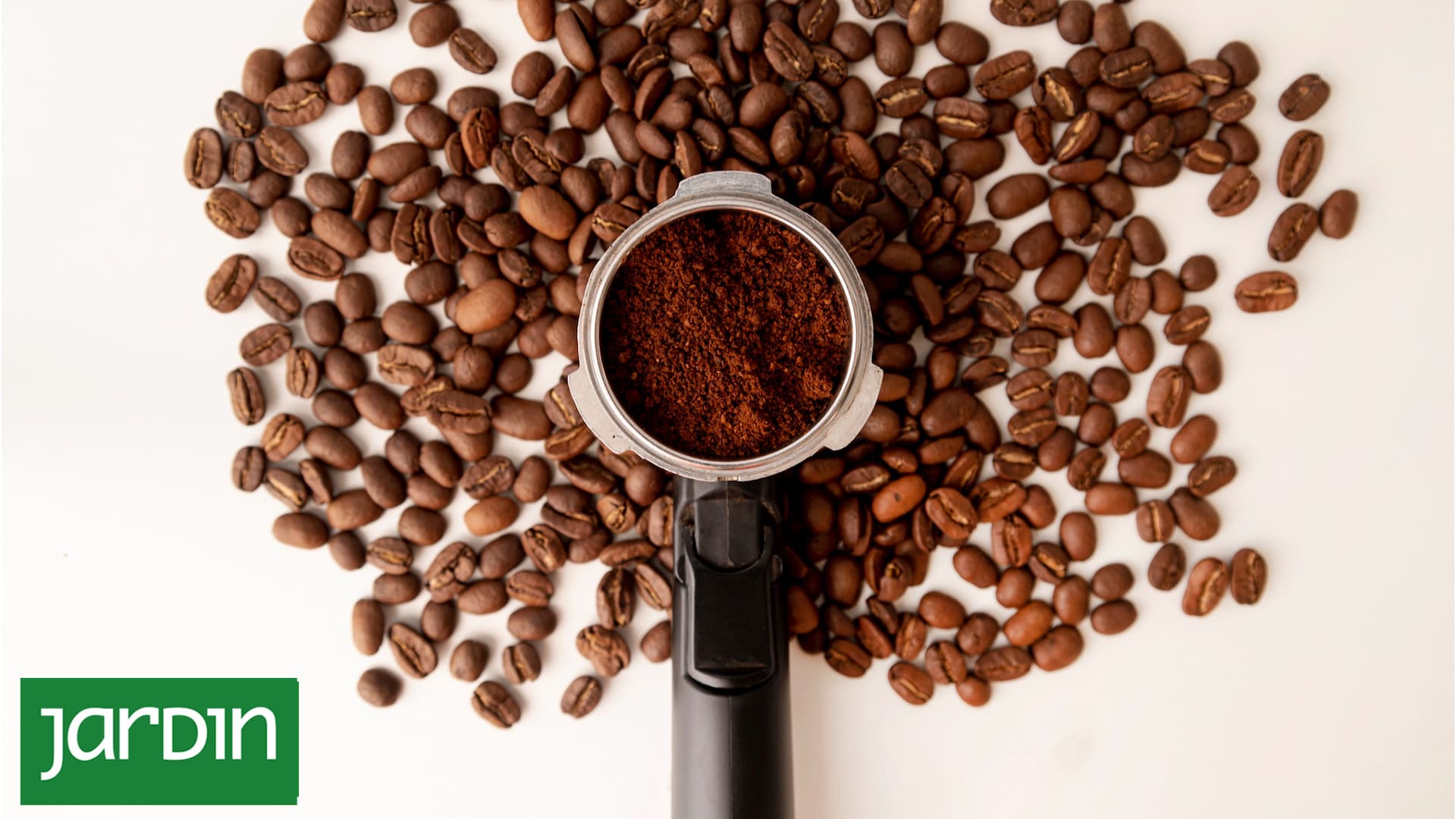 Pros y contras del truco casero para fertilizar las plantas con borra de café