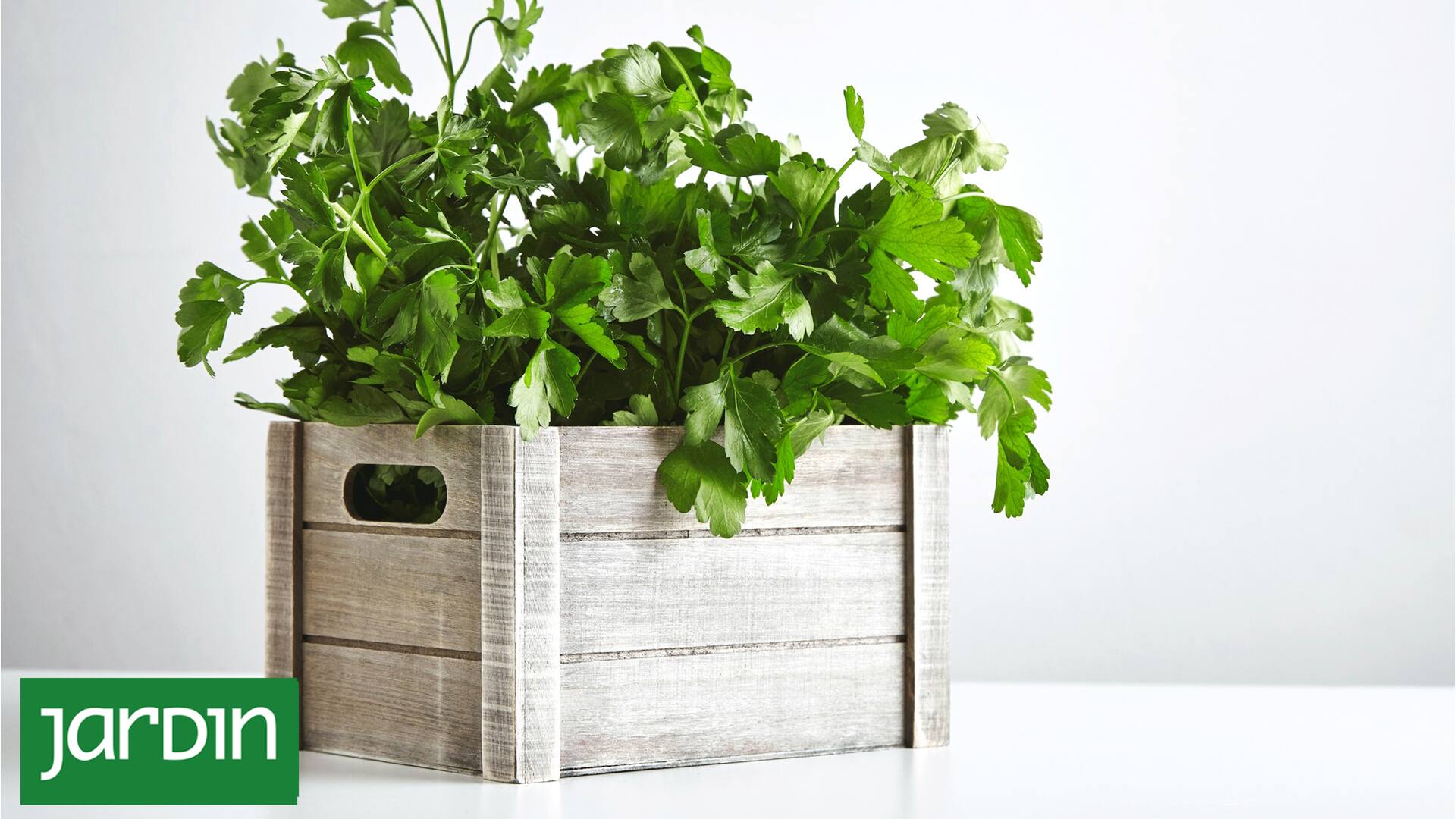 Chimichurri de la huerta: cómo preparar esta receta argentinísima con lo que hay en casa