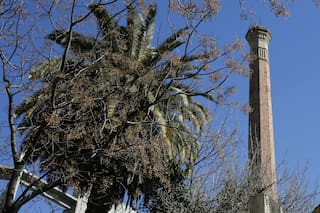 El misterio de las 80 chimeneas sin humo escondidas en Buenos Aires