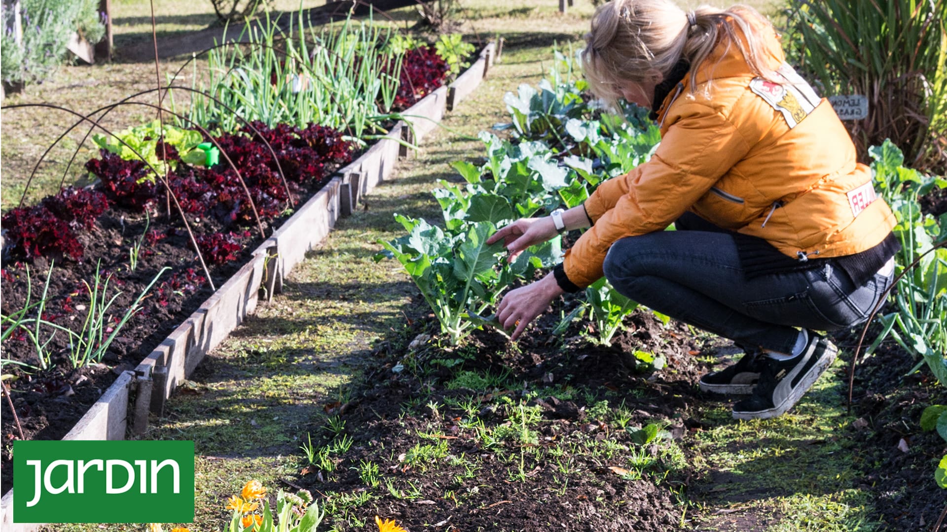 Primavera en la huerta: 10 semillas que tenés que sembrar ahora para disfrutar todo el verano