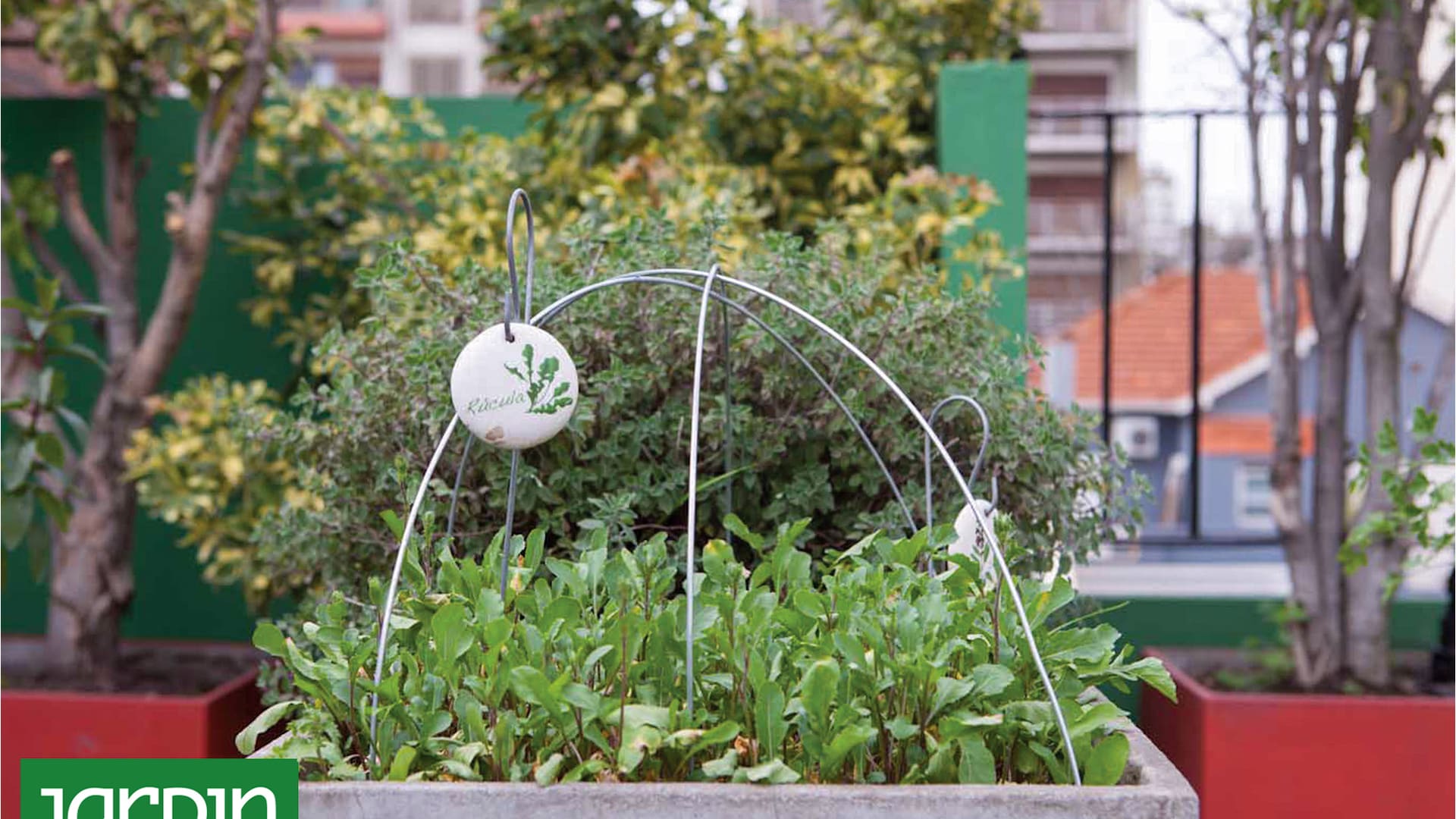 Cómo tener los vegetales a mano sin ir a la verdulería