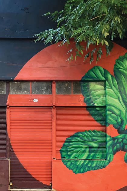 Dónde ver murales urbanos con inspiración botánica