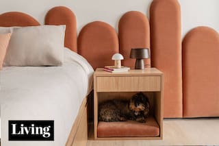 Cuartos de chicos que conforman a todos
