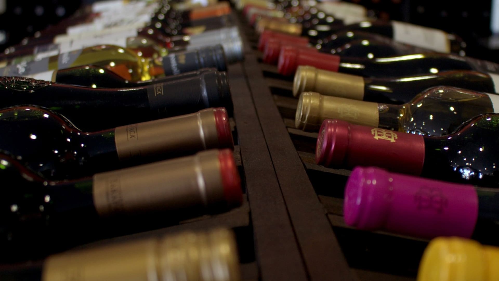 Malbec. 10 vinos poco conocidos para darse un gusto hasta 500
