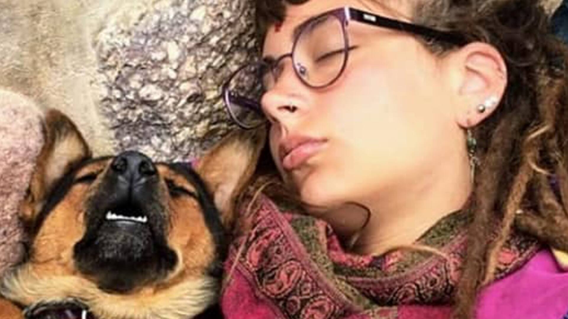 Perra varada. La bajaron de un micro para que su humana fuera repatriada