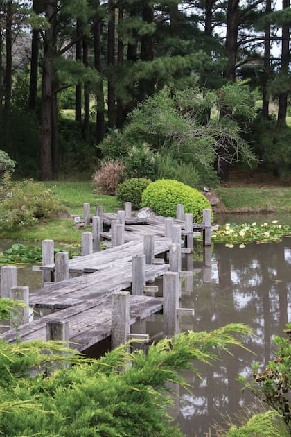 Cascadas, senderos y puentes marcan el carácter de un jardín de estilo japonés diseñado para la contemplación y el paseo