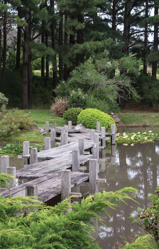 Cascadas, senderos y puentes marcan el carácter de un jardín de estilo japonés diseñado para la contemplación y el paseo