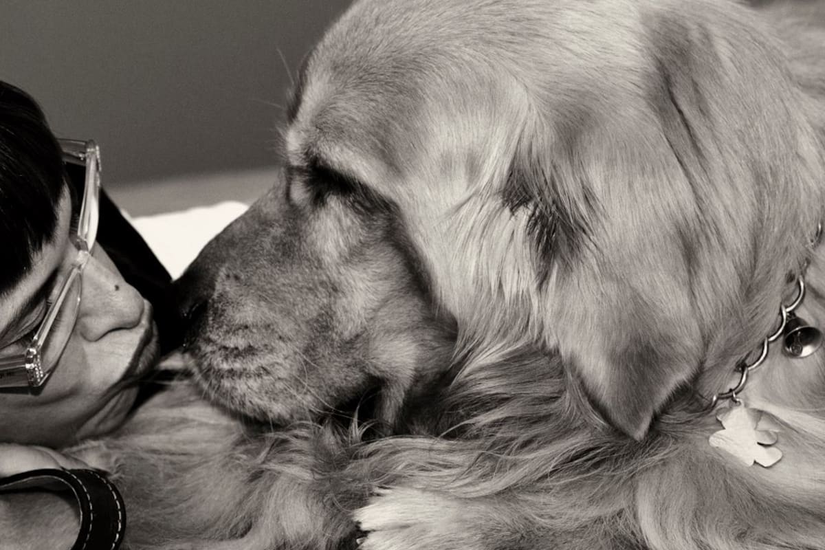 Joy, el perro que le enseña a Valeria cómo decir adiós cuando llegue su momento de partir