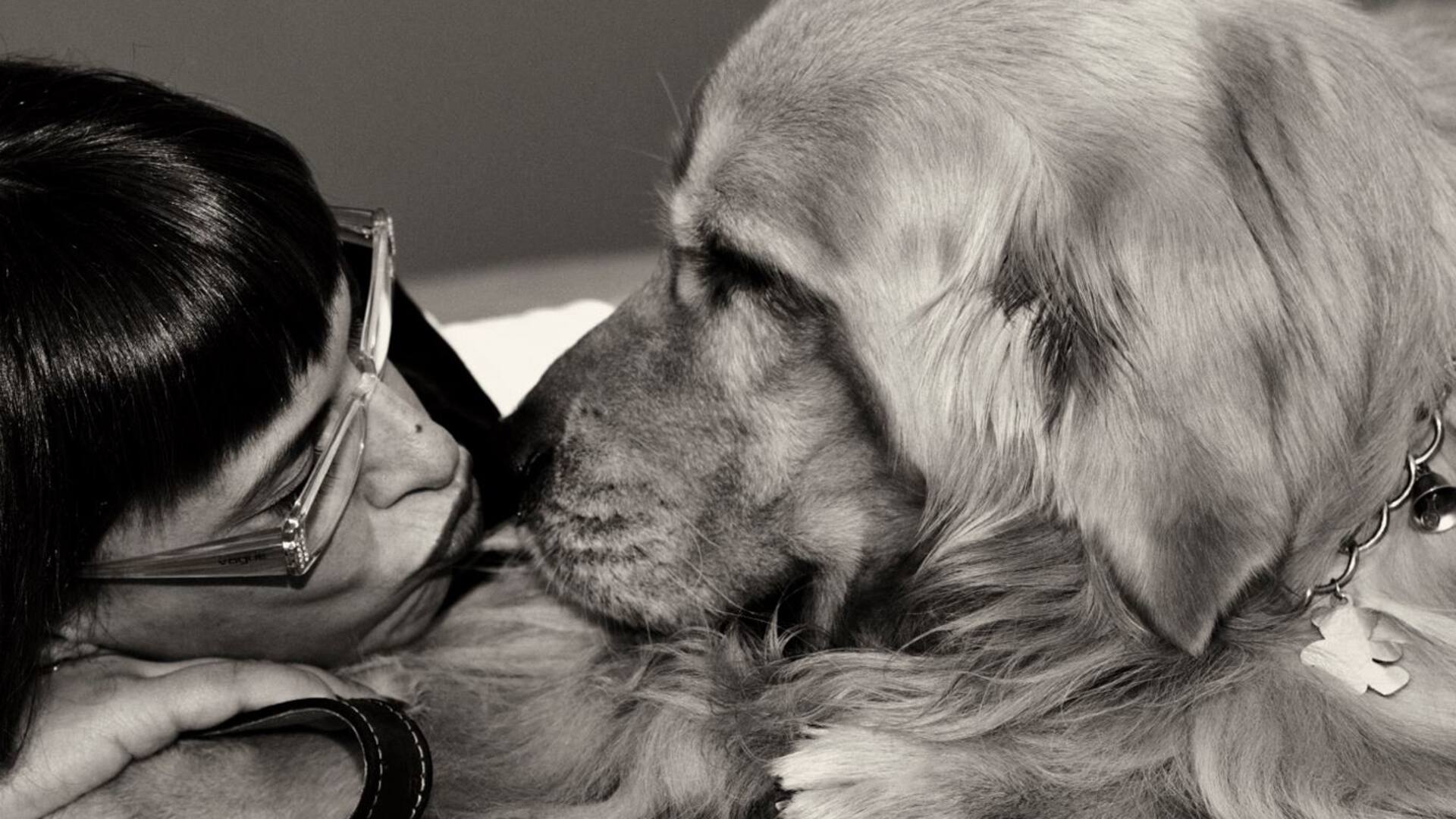Joy, el perro que le enseña a Valeria cómo decir adiós cuando llegue su momento de partir