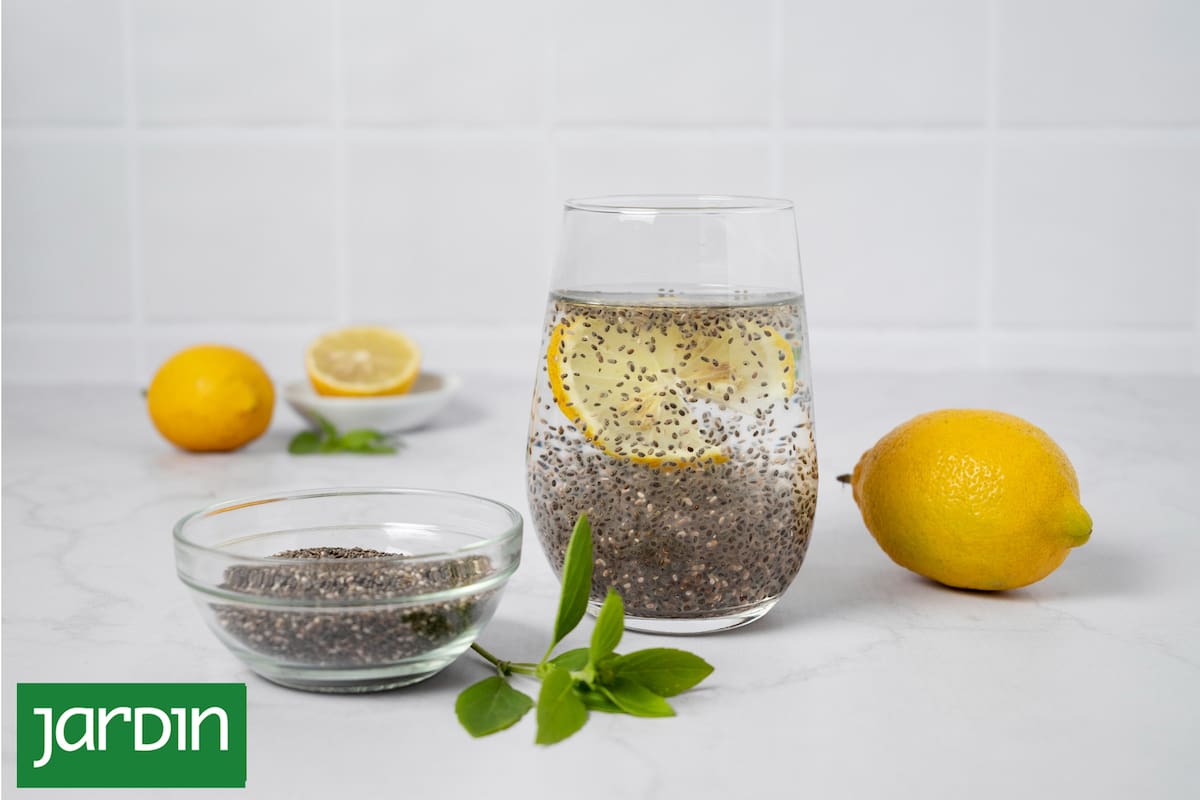 Agua de chía, ¿por qué es clave para el buen funcionamiento del cuerpo?
