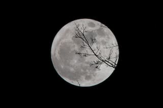 La Luna no tiene un lado oscuro y otras curiosidades del satélite de la Tierra